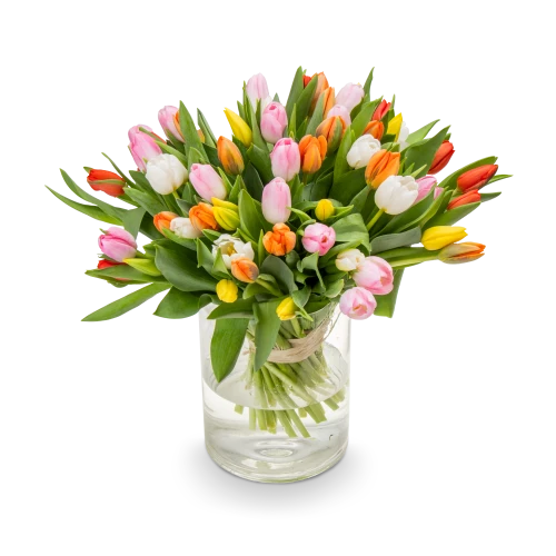 Kytice  tulipánů